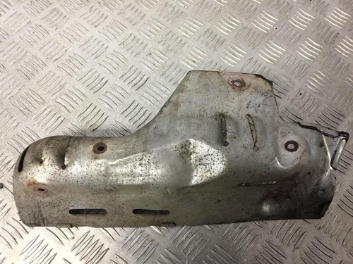 Exhaust head shield for - ,