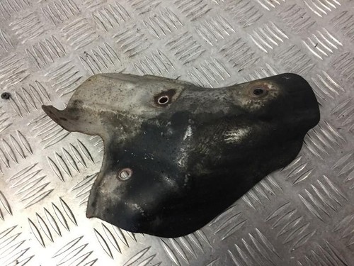Exhaust head shield for - head,